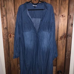 Allison Brittney Plus Dress